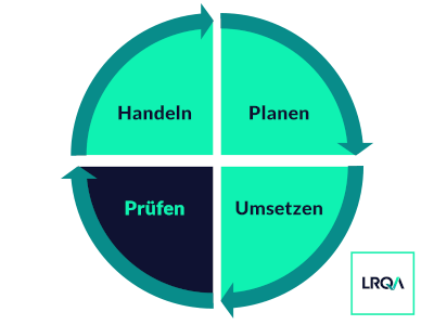 PDCA-Zyklus prüfen